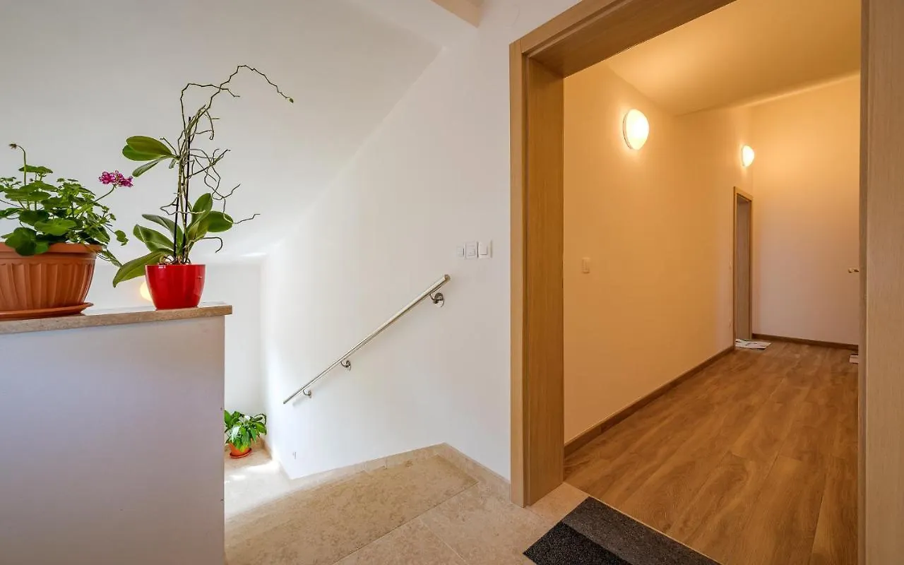 Apartments Nelle Pola
